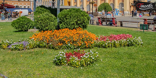 Зајечар — Центар