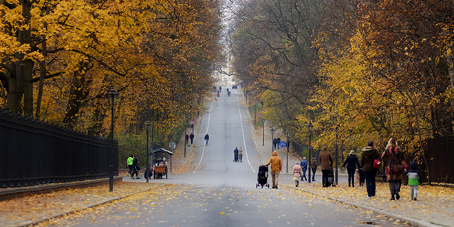 Јесен, улица