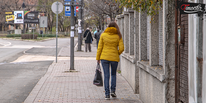 Улица Николе Пашића — Зајечар