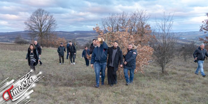 Градска управа Зајечар – Сеча Бадњака